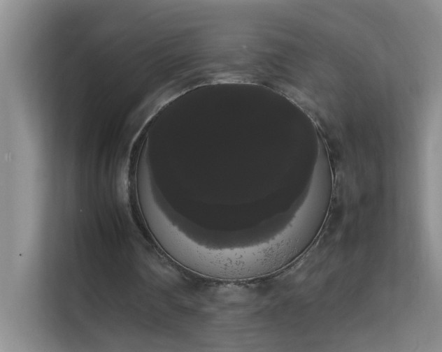 X0000113850290200909241253