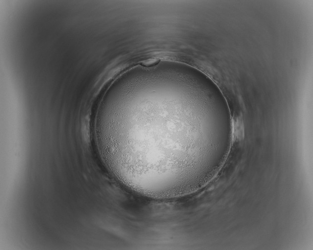 X0000113850291200909241253