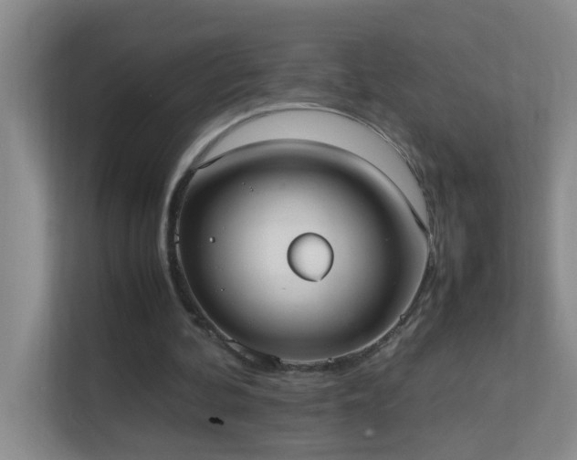 X0000113850292200909241253