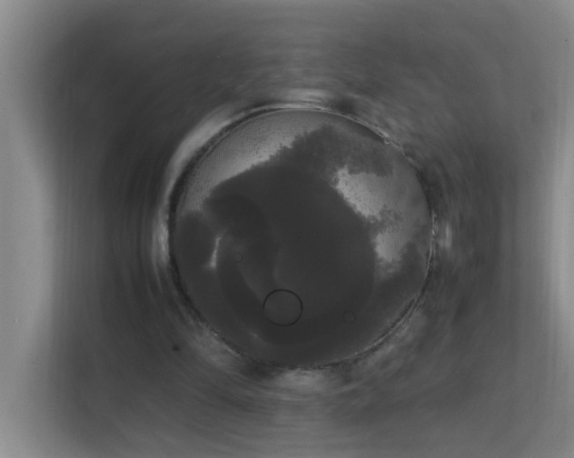 X0000113850294200909241253