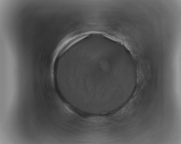 X0000113850296200909241253