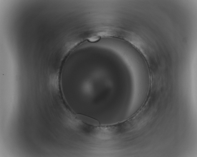 X0000113850297200909241253