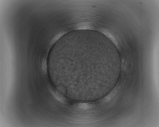 X0000113850298200909241253