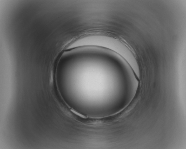 X0000113850301200909241253