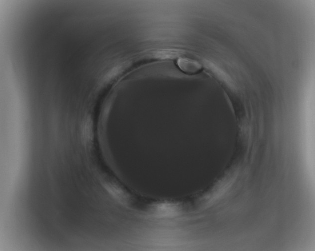 X0000113850303200909241253