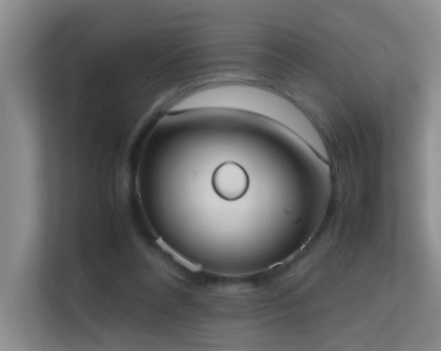 X0000113850304200909241253