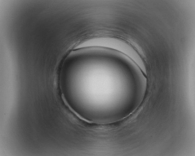 X0000113850305200909241253