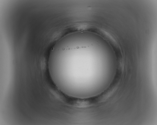 X0000113850311200909241253