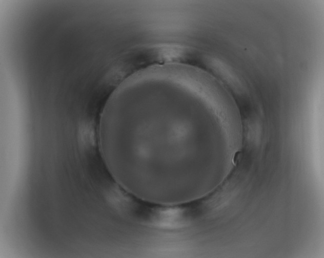 X0000113850313200909241253