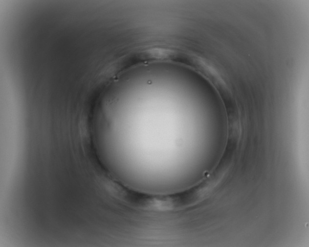 X0000113850317200909241253