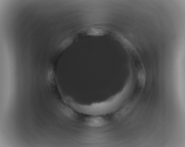 X0000113850322200909241253