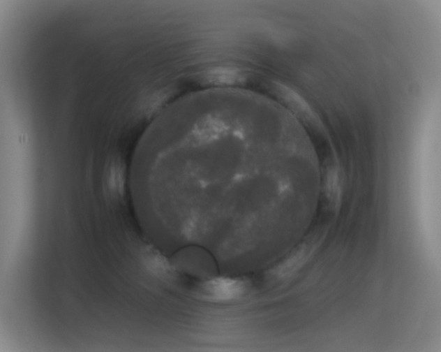 X0000113850326200909241253