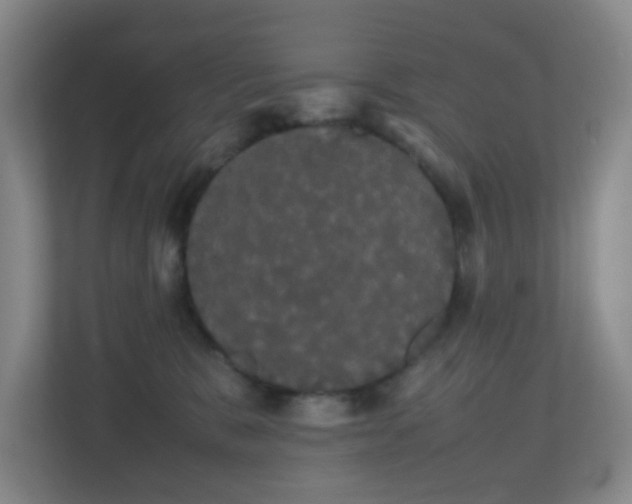 X0000113850327200909241253