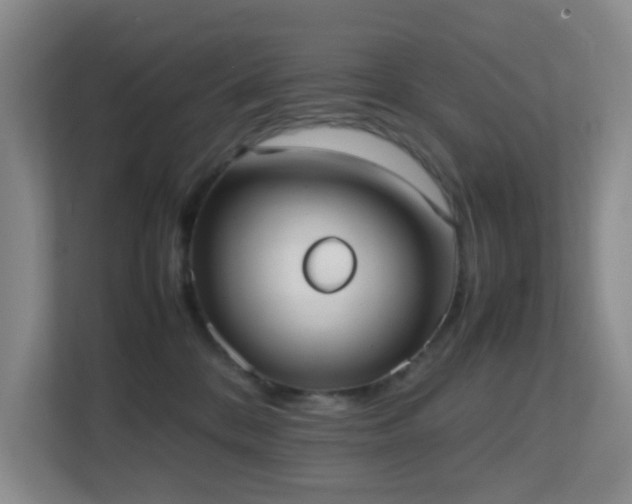 X0000113850328200909241253