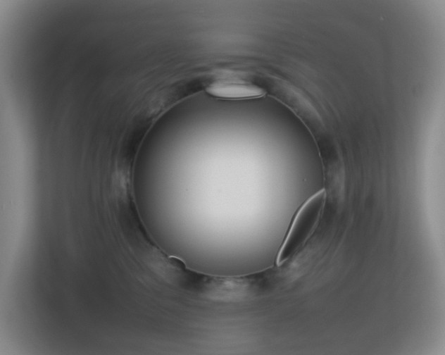 X0000113850329200909241253