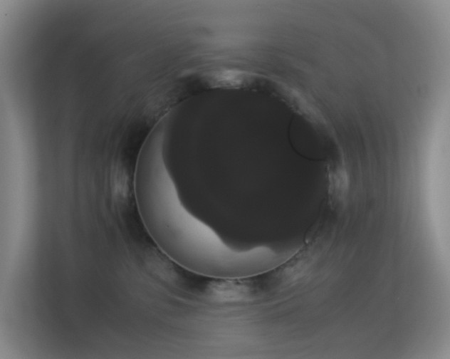 X0000113850331200909241253