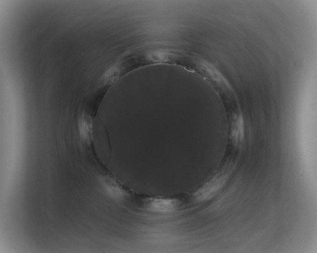 X0000113850332200909241252