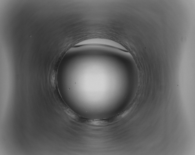 X0000113850336200909241252