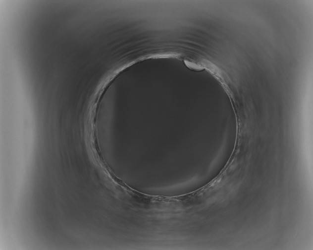 X0000113850337200909241252