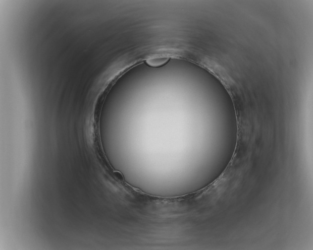 X0000113850338200909241252