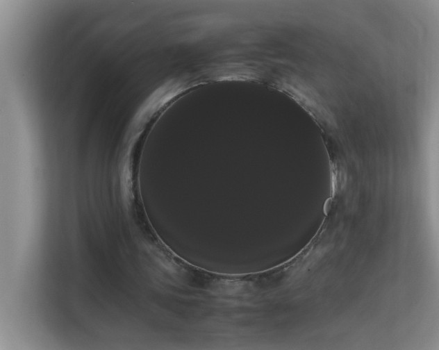 X0000113850339200909241252