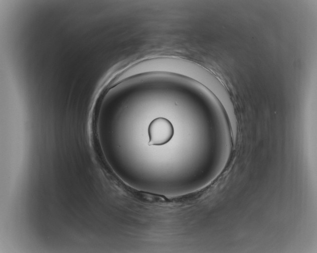 X0000113850340200909241252