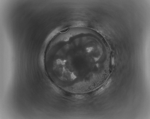 X0000113850341200909241252