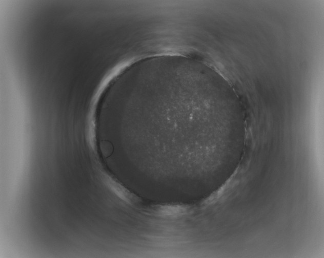 X0000113850342200909241252