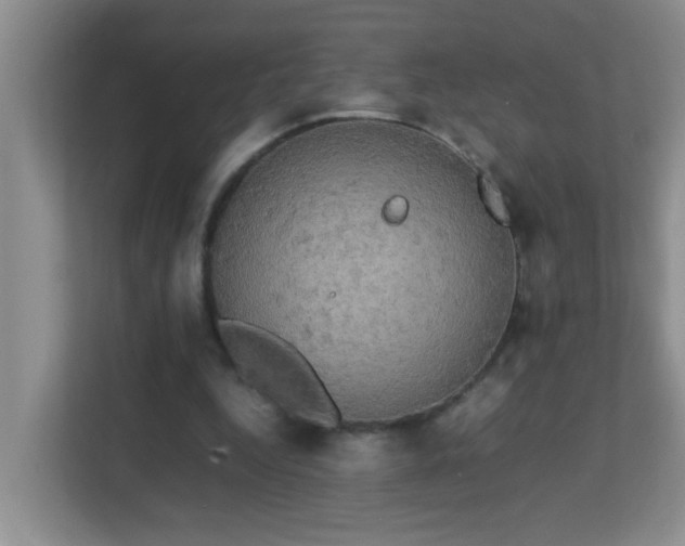 X0000113850344200909241252