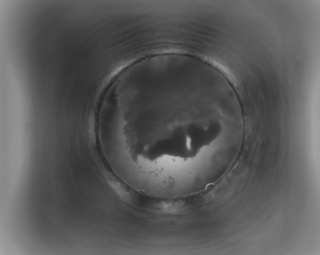 X0000113850345200909241252