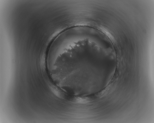 X0000113850346200909241252