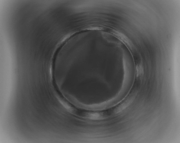 X0000113850349200909241252