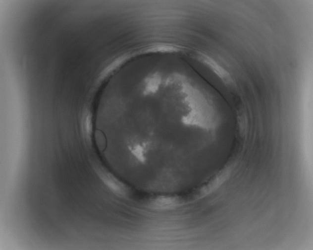 X0000113850350200909241252