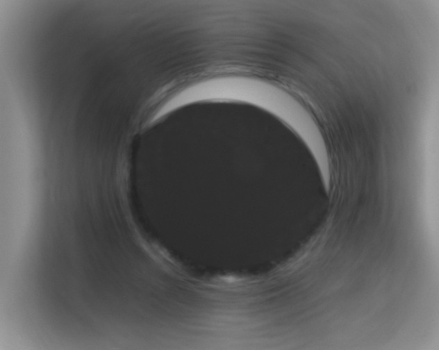 X0000113850352200909241252