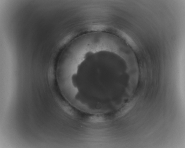 X0000113850354200909241252