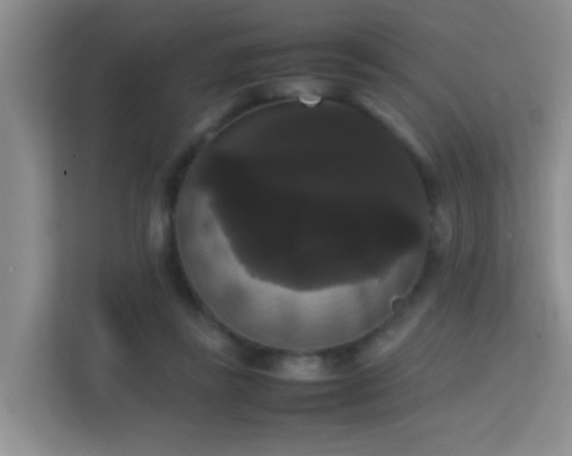 X0000113850355200909241252