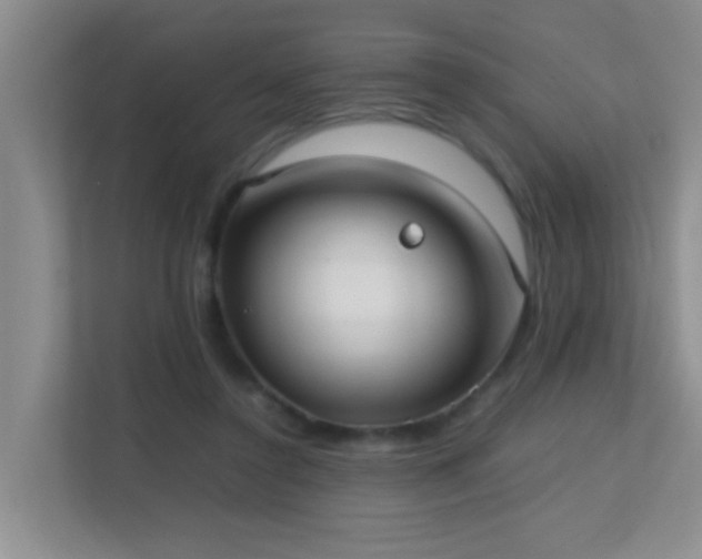 X0000113850356200909241252