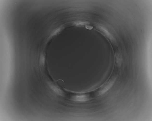 X0000113850357200909241252