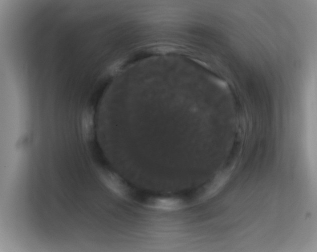 X0000113850360200909241252