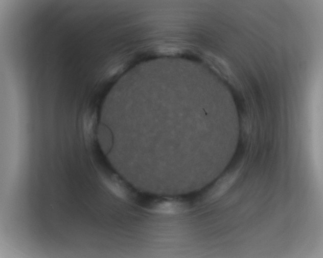 X0000113850364200909241252