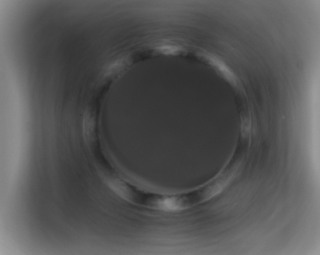 X0000113850365200909241252