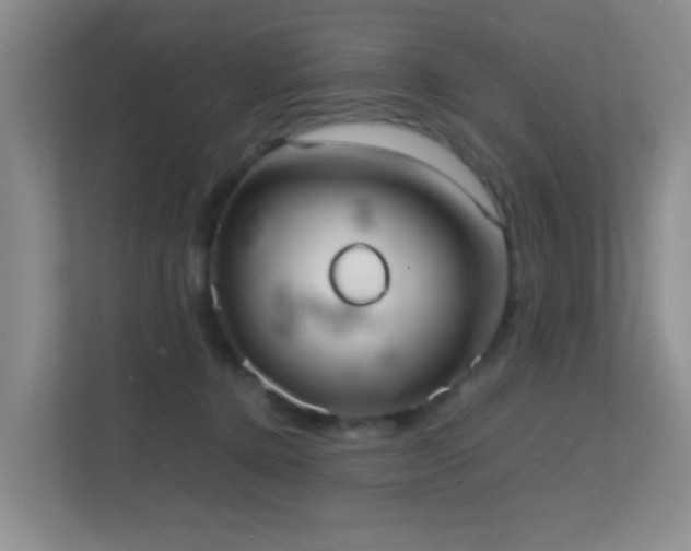 X0000113850368200909241252