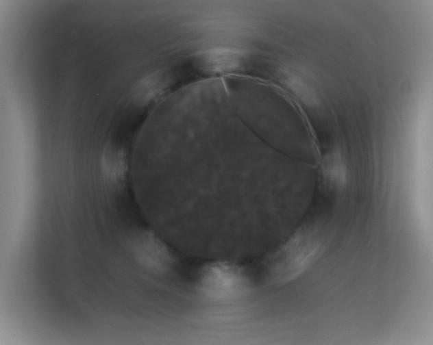 X0000113850372200909241252