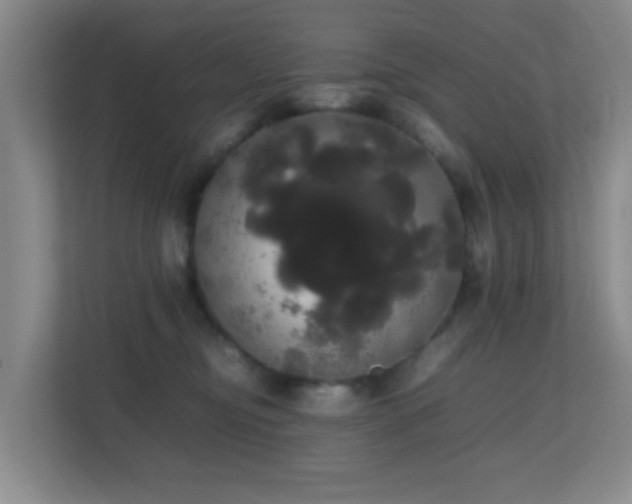 X0000113850374200909241252