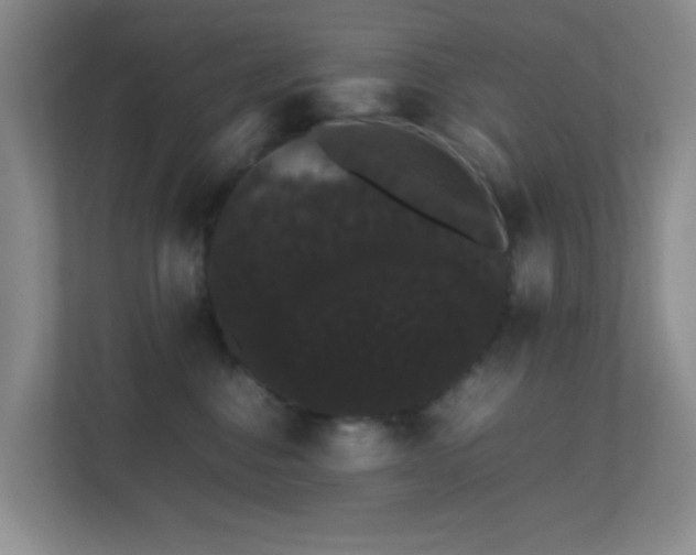 X0000113850376200909241252