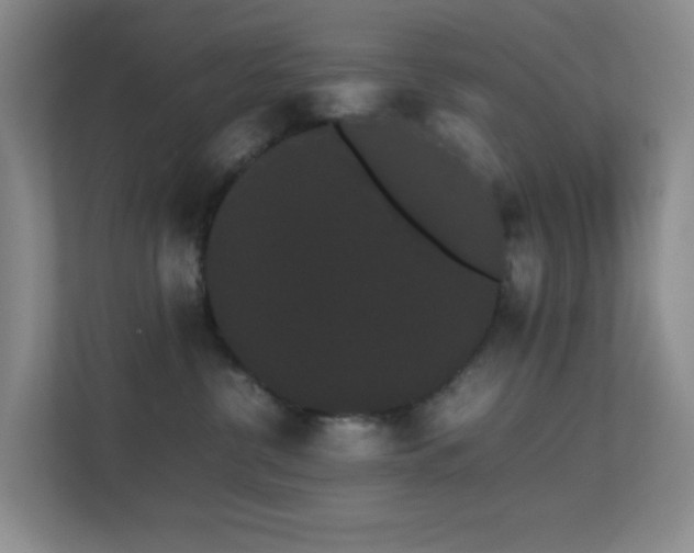 X0000113850380200909241252