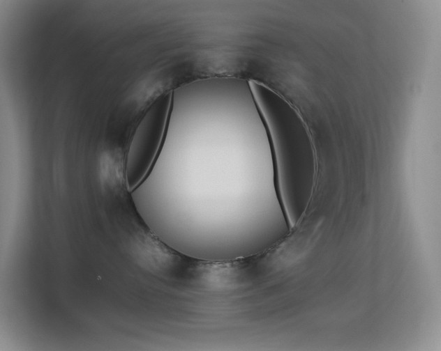 X0000113850384200909241252