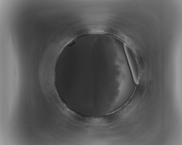 X0000113850385200909241252