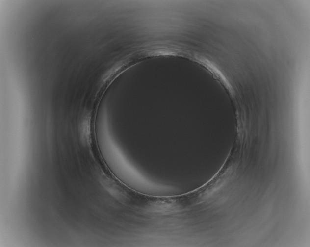 X0000113850386200909241252