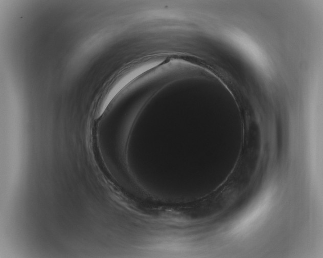 X0000113850387200909241252